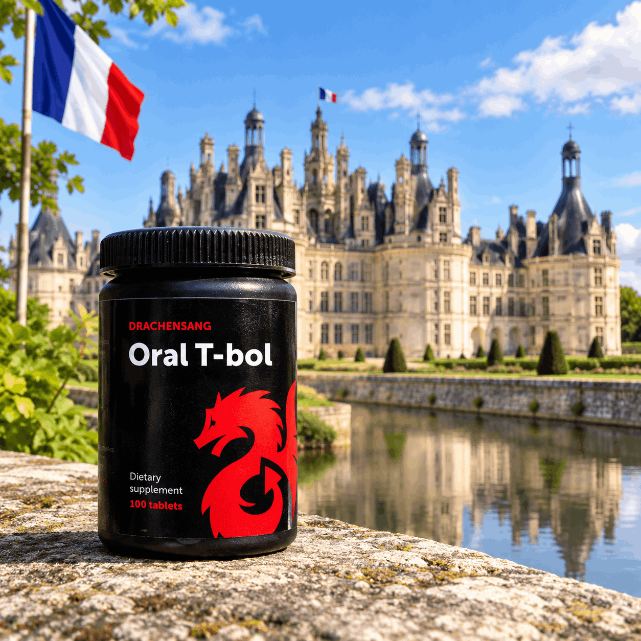 Oral T-Bol de Drachensang devant le château de Chambord