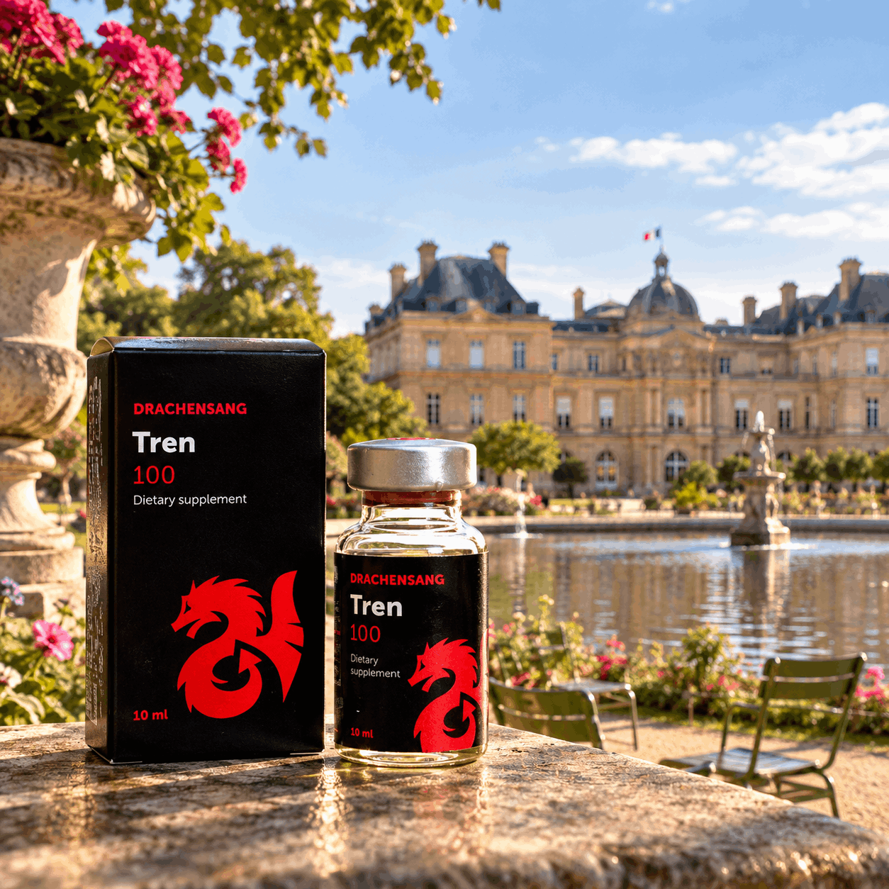 Tren 100 de Drachensang dans le jardin du Luxembourg à Paris