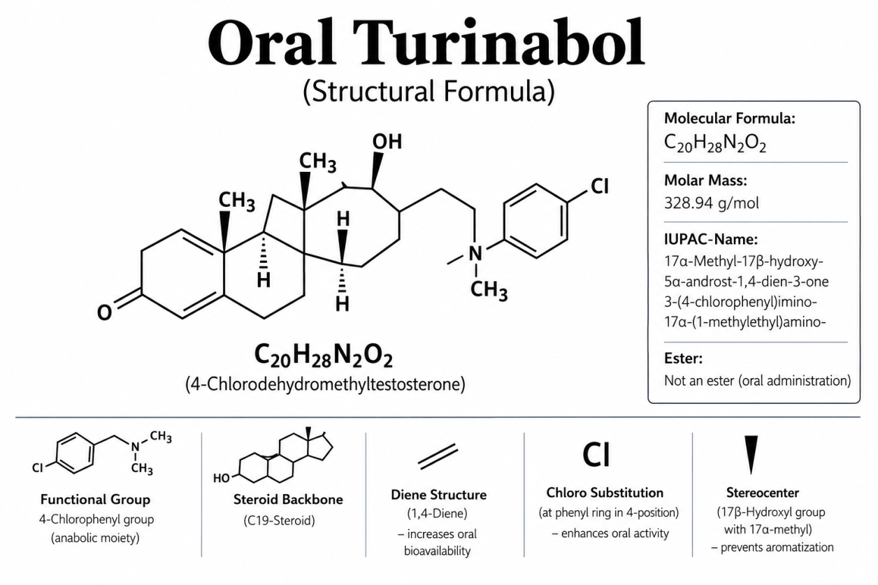 Oral Turinabol (DHCMT) – Informations sur les effets, les propriétés et les risques dans le bodybuilding